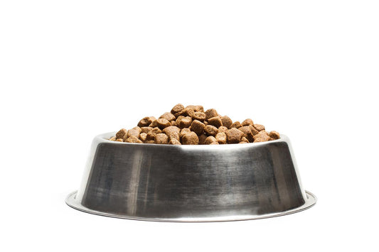 Bewezen Ingrediënten Voor Sterke Gewrichten Bij Oudere Honden