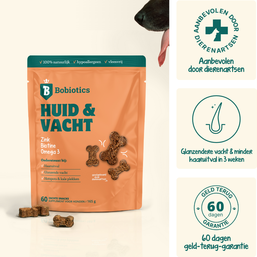 Huid & Vacht | 60 snacks | 100% natuurlijk
