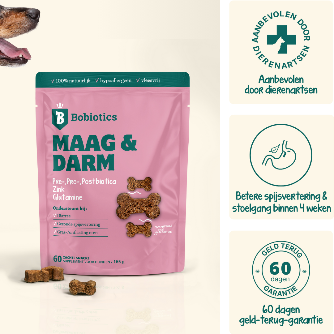 Probiotica Maag & Darm | 60 snacks | 100% natuurlijk
