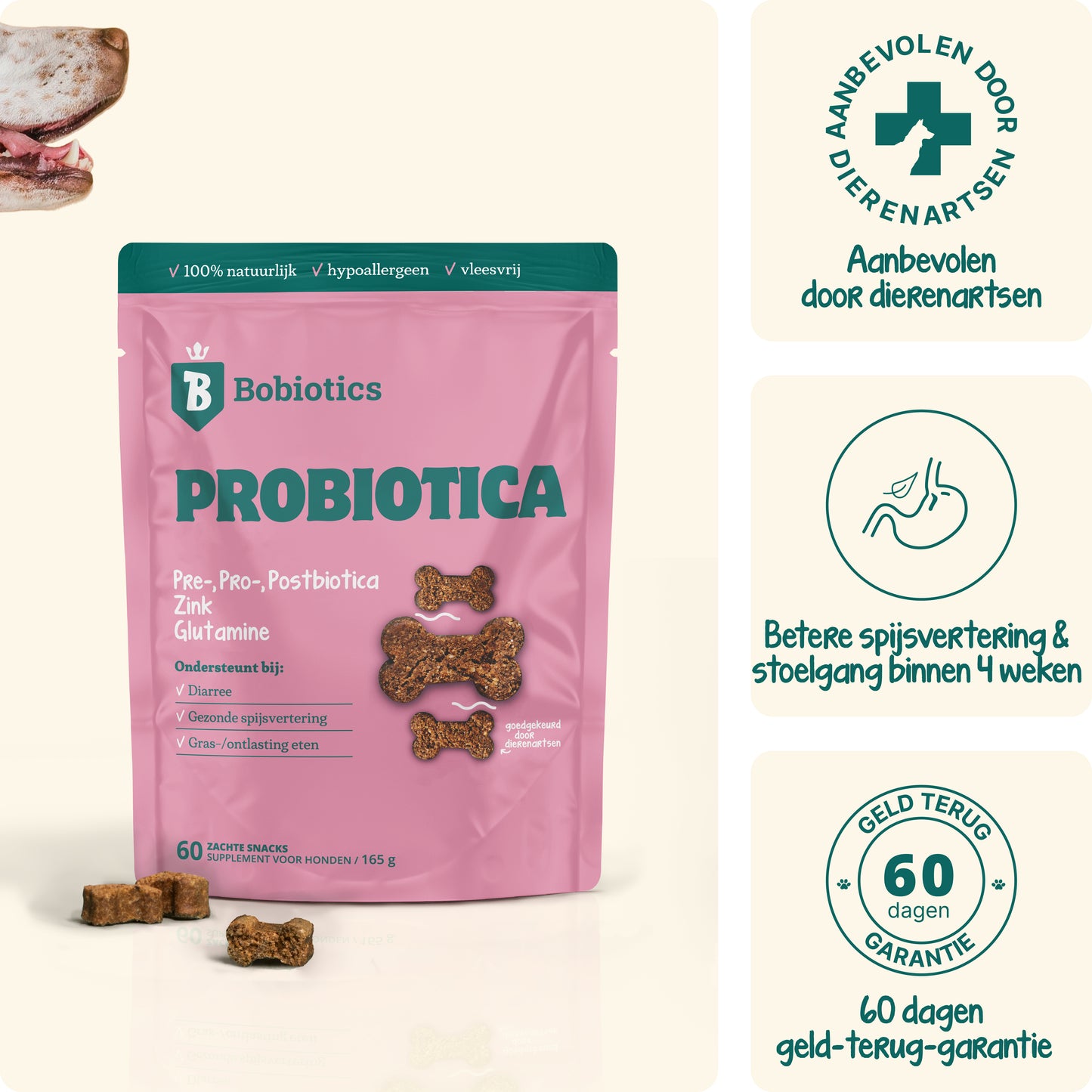 Probiotica Maag & Darm | 60 snacks | 100% natuurlijk