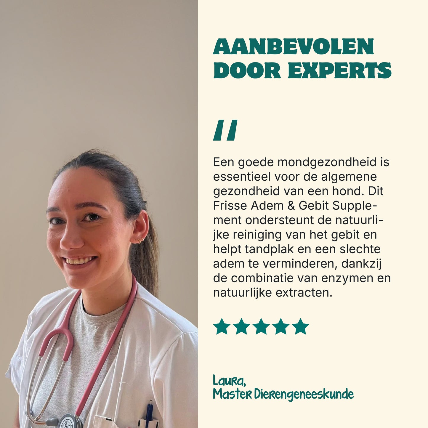 Frisse Adem & Gebit | 60 schepjes | 100% natuurlijk