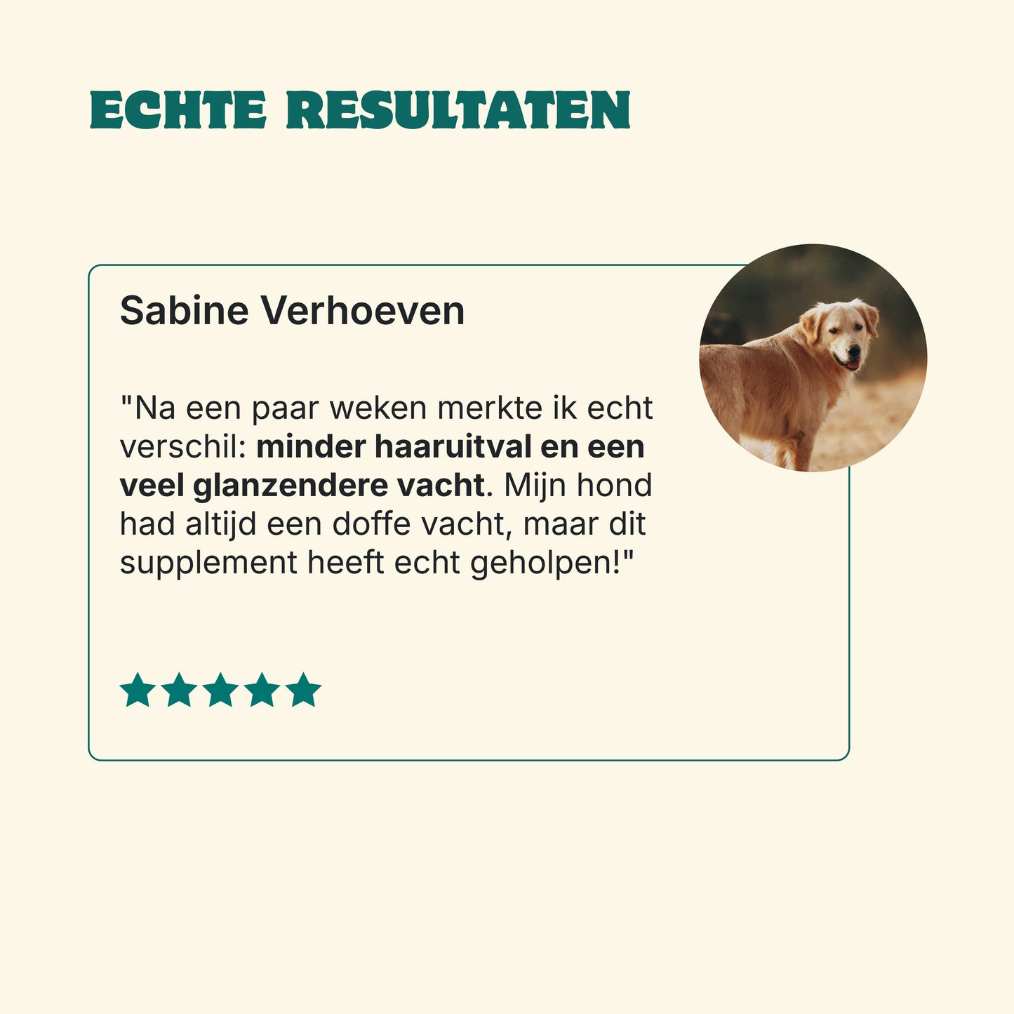 Huid & Vacht | 60 snacks | 100% natuurlijk
