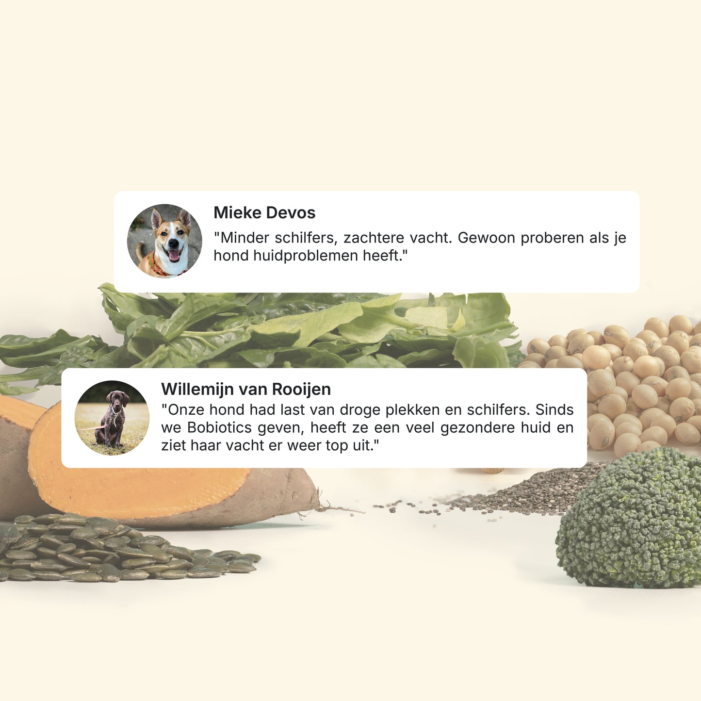 Huid & Vacht | 60 snacks | 100% natuurlijk