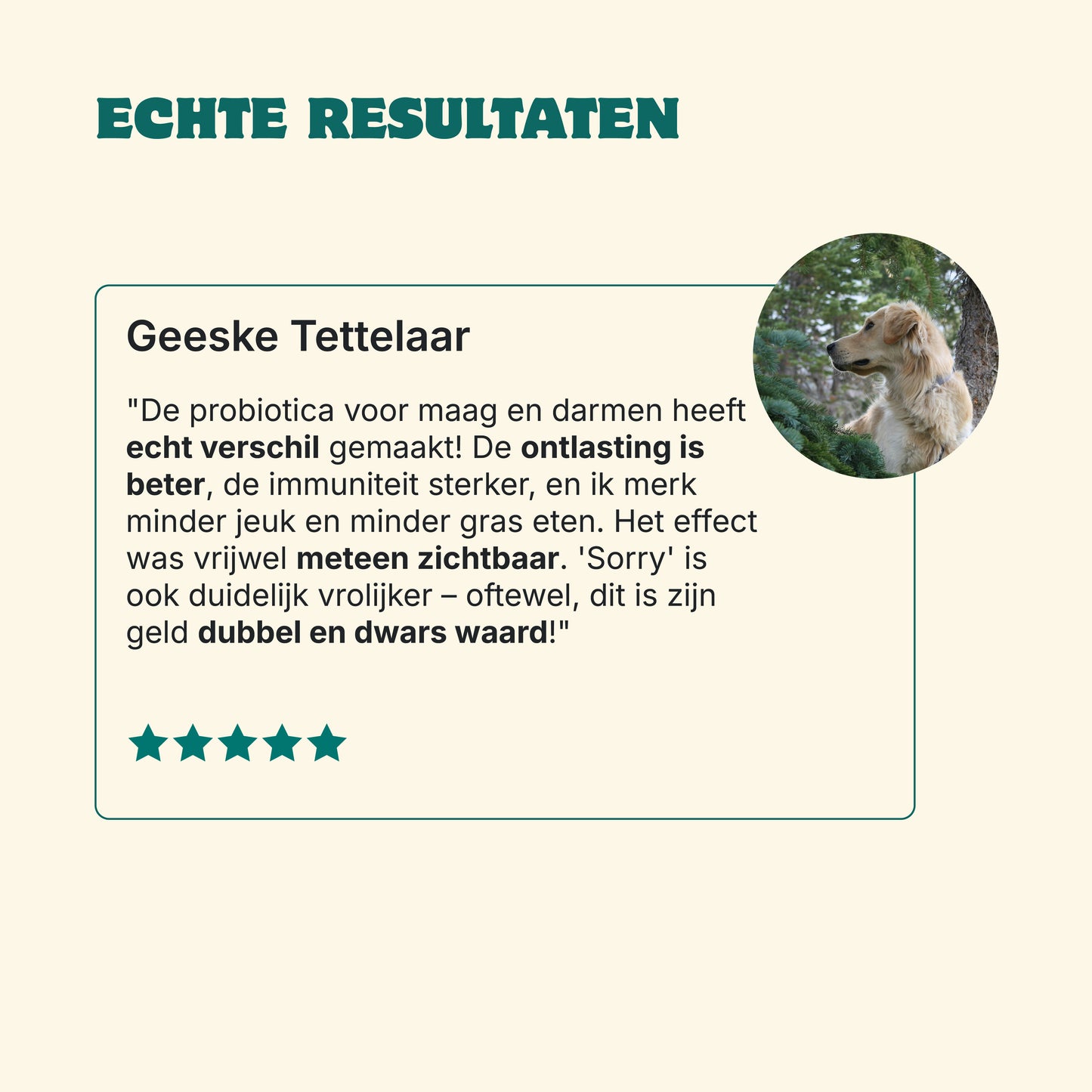 Probiotica Maag & Darm | 60 snacks | 100% natuurlijk