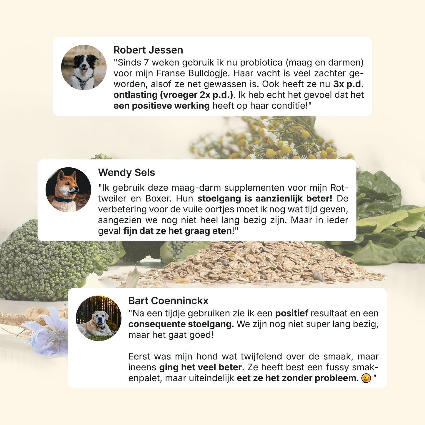 Probiotica Maag & Darm | 60 snacks | 100% natuurlijk