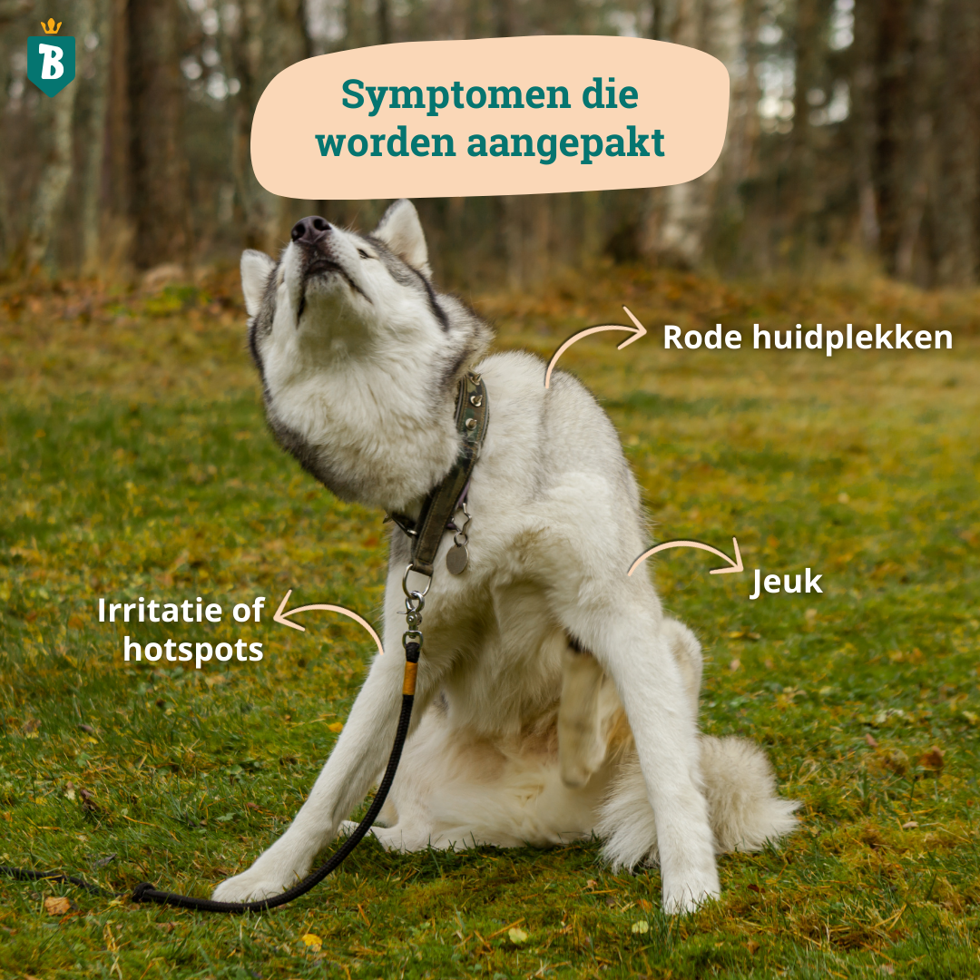 Anti Jeuk Spray | 100% Natuurlijk