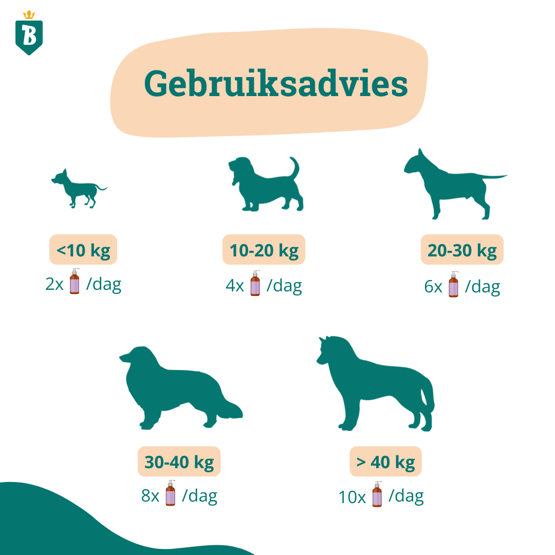 Huid & Vacht Olie | 100% Natuurlijk