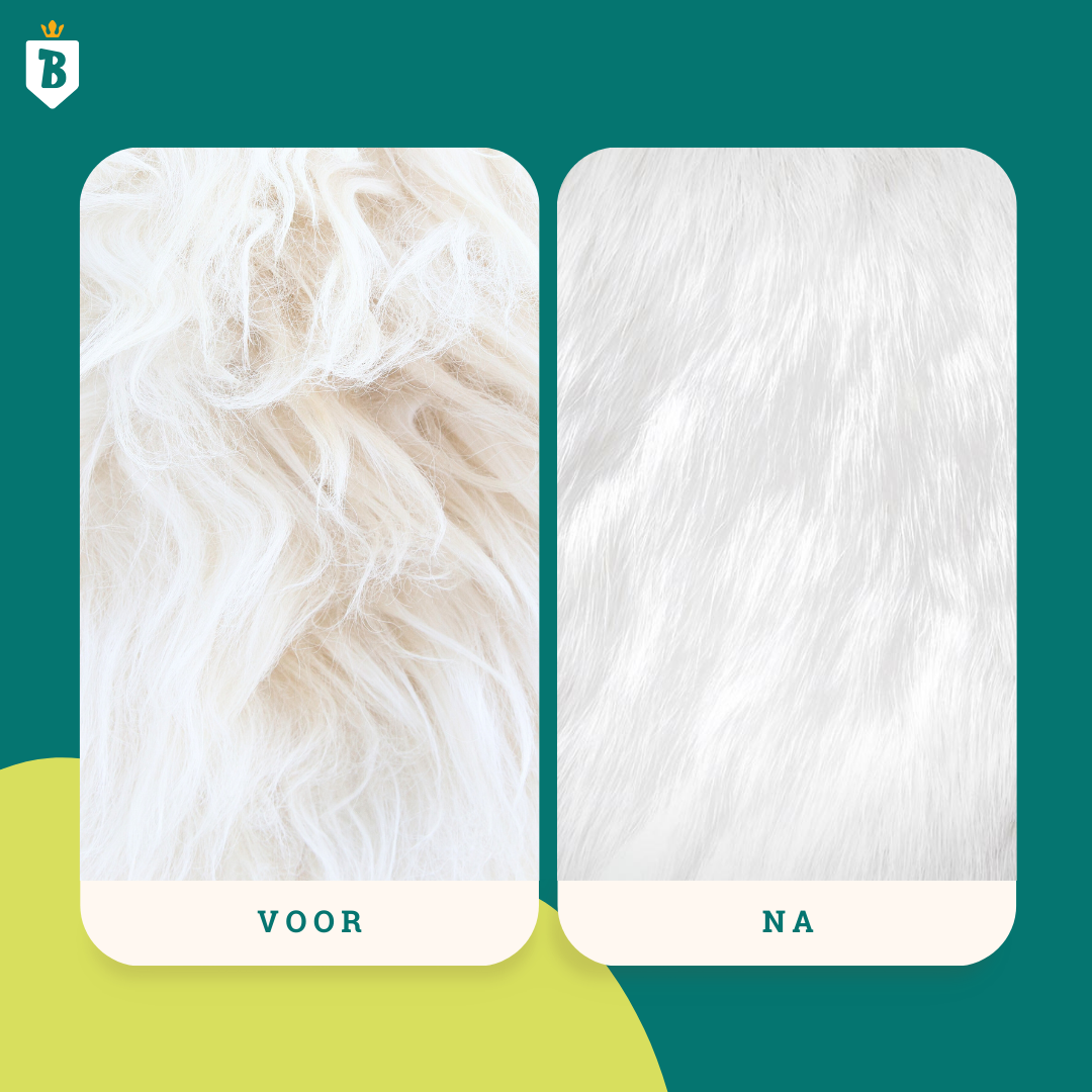 Huid & Vacht Olie | 100% Natuurlijk