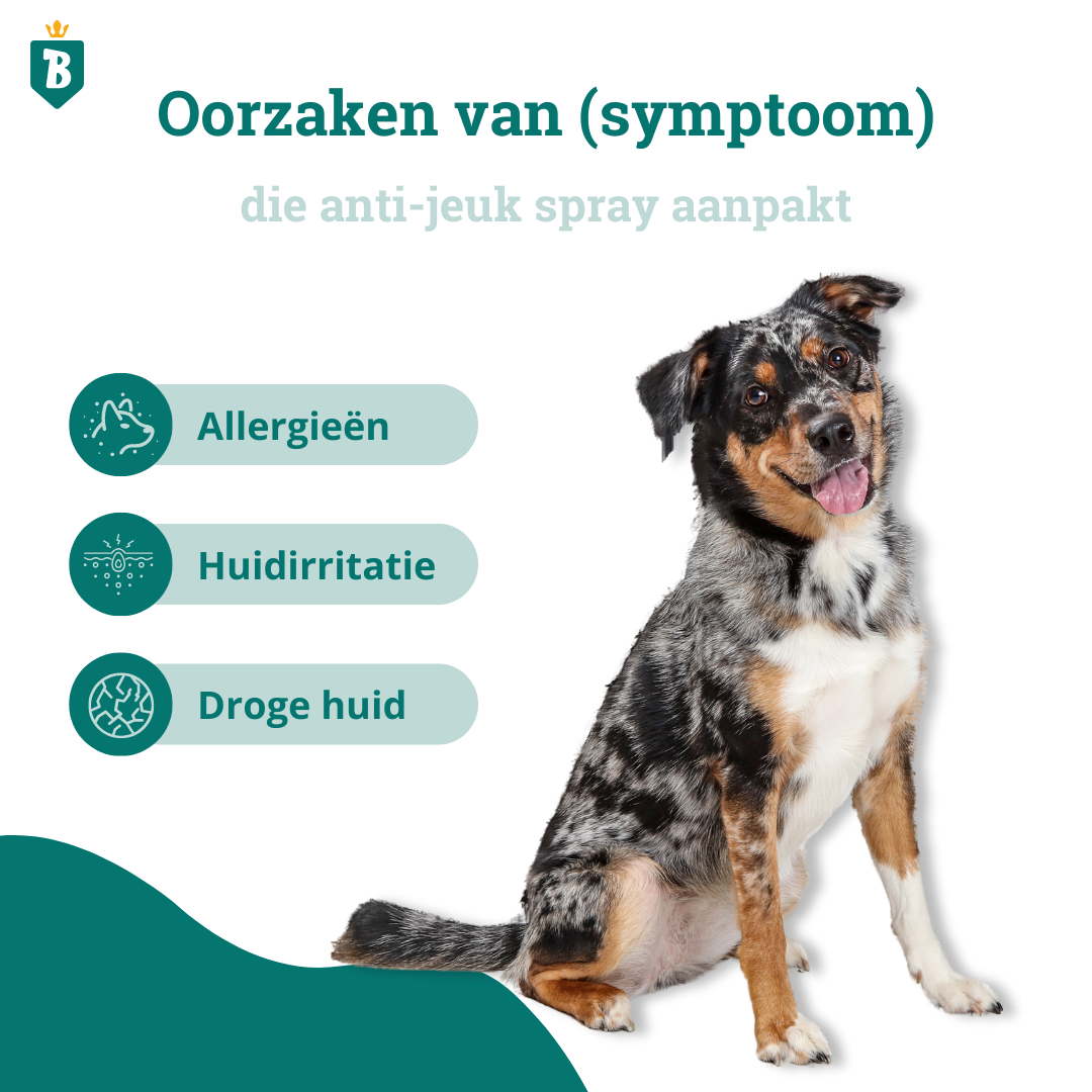 Anti Jeuk Spray | 100% Natuurlijk