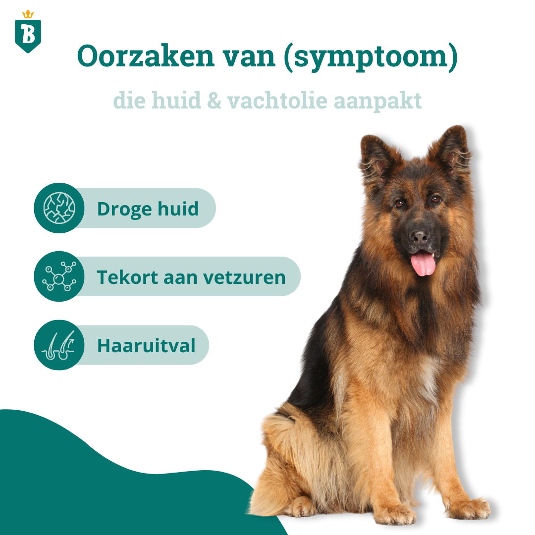 Huid & Vacht Olie | 100% Natuurlijk