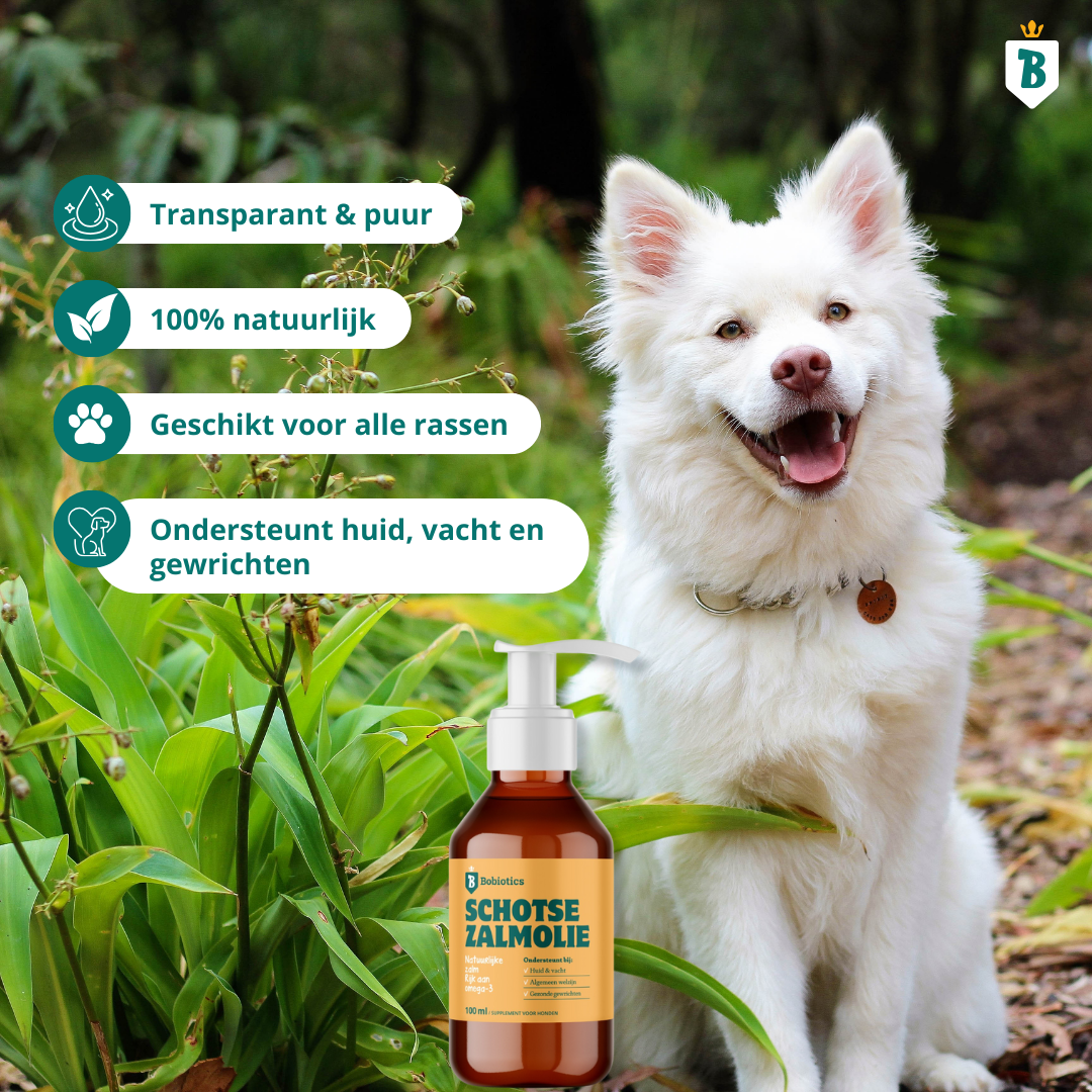 Schotse Zalmolie 100ML