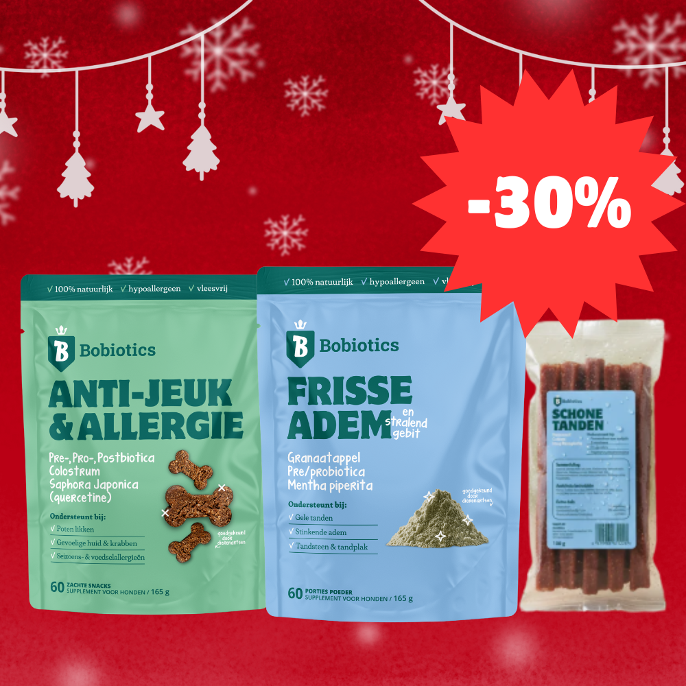 Anti-Jeuk + Frisse Adem + Dental Sticks