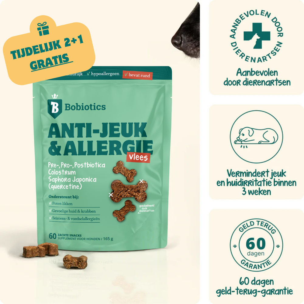 Probiotica Anti-jeuk | 60 supplementen | 100% natuurlijk