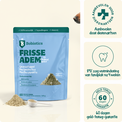 Frisse Adem & Gebit | 60 schepjes | 100% natuurlijk