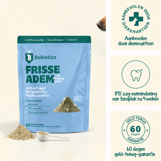 Frisse Adem & Gebit | 60 schepjes | 100% natuurlijk