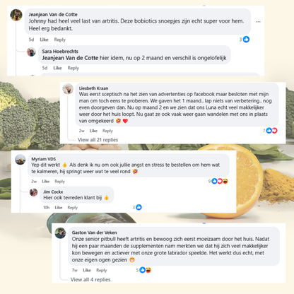 Heup & Gewrichten | 60 snacks | 100% natuurlijk