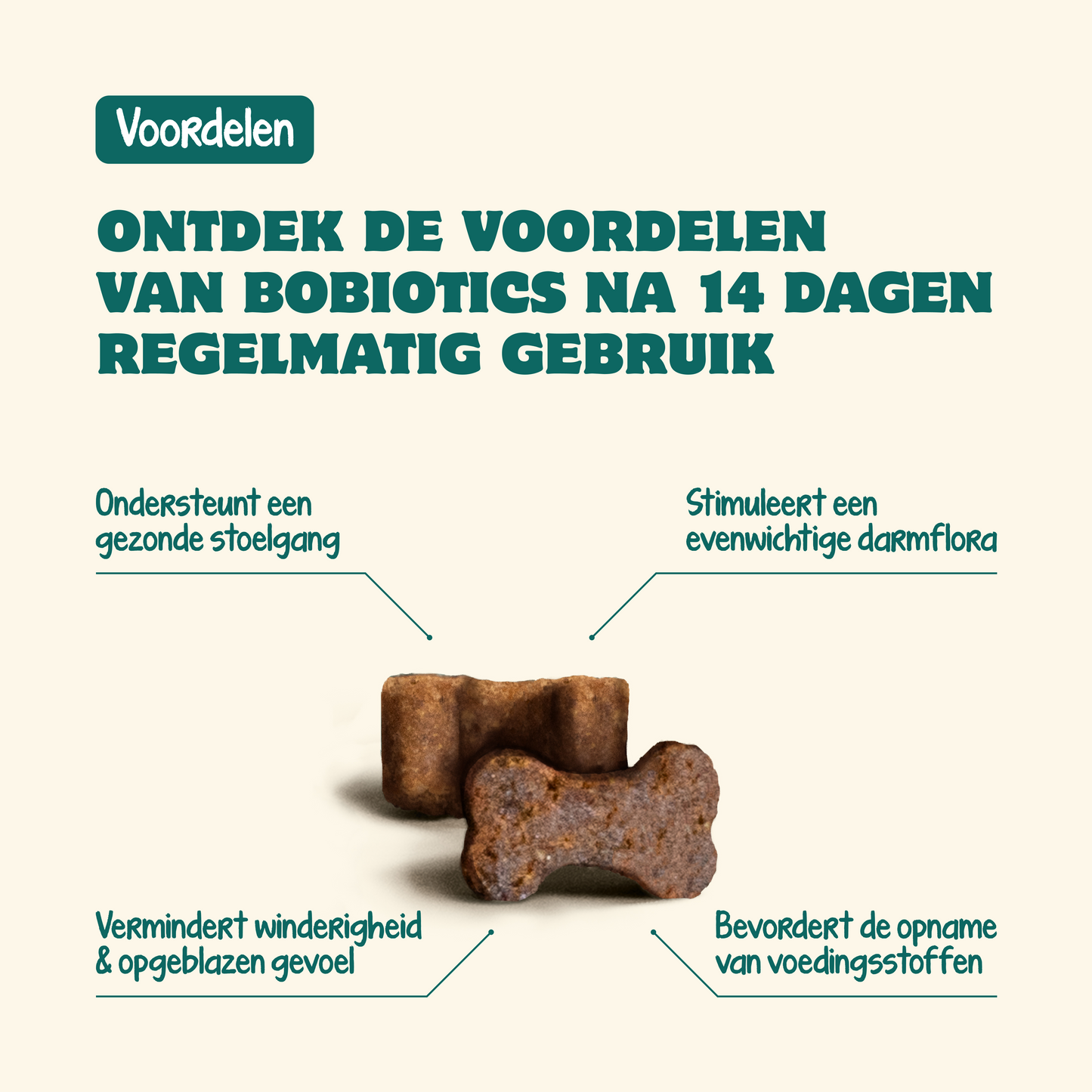 Probiotica Maag & Darm | 60 snacks | 100% natuurlijk